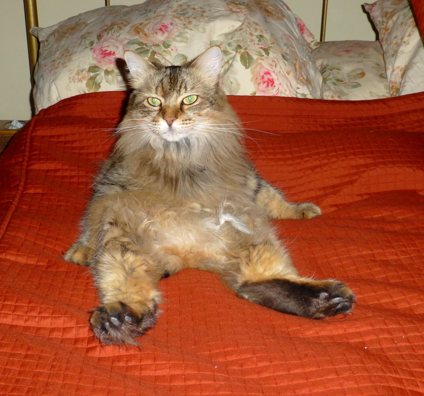 My bed!